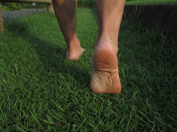 dfb15e8422a47be88728fa3ee94939a2_s