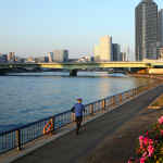 フルマラソン大会に出場・・完走と途中リタイアを経験、現在はフルマラソン休憩中！