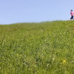 50歳過ぎてランニングを始めました、ランニングに出会い身も心もリフレッシュ。楽しい毎日を過ごしています。