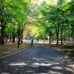 ランニングにハマりもう抜け出せません！！続ければ身体は変化します！！