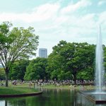 私の走っているランニングコースに毎日現れる、狂犬に大迷惑！！